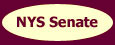 NYS Senate